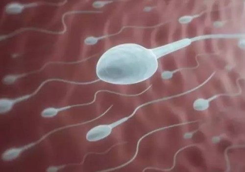 上海代怀生男孩：﻿易孕体质和不易孕体质哪个好,两种的区别是什么