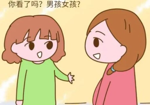 上海试管机构包男孩：﻿哪些疾病会导致卵子无法排出？备孕女性必读