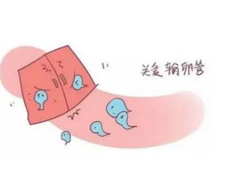 试管期间到底要不要降调，符合这些条件就不需要