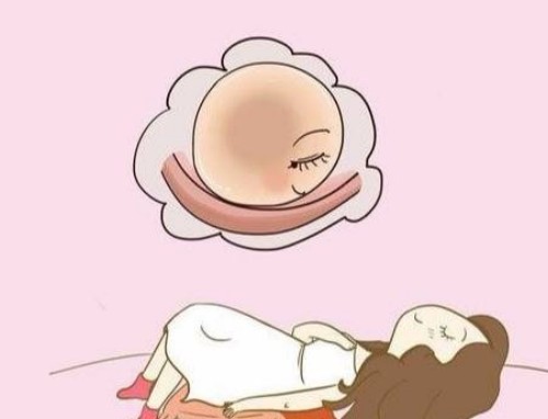 上海试管供卵代怀：﻿冻卵复苏成功率是多少？国内冻卵复苏率可达80%