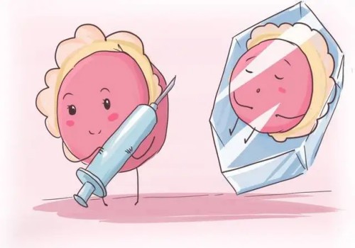 上海供精代生：﻿精子存活率低怎么办？多吃这些食物帮你告别尴尬问题