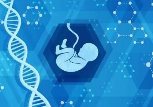 上海试管供精：﻿孕妇铁剂什么时候吃好,孕期铁剂的服用时间
